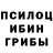 Псилоцибиновые грибы Cubensis Diller Diller