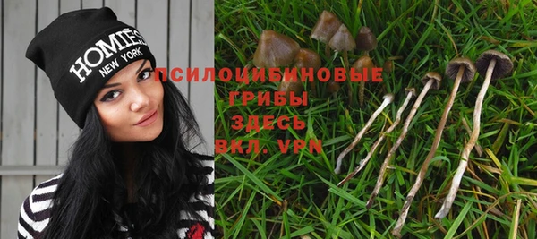 кокаин VHQ Каменногорск
