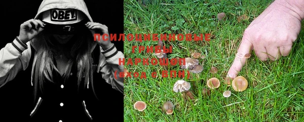 кокаин колумбия Каменка