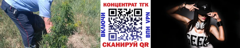 Купить Короча Дистиллят ТГК вейп с тгк